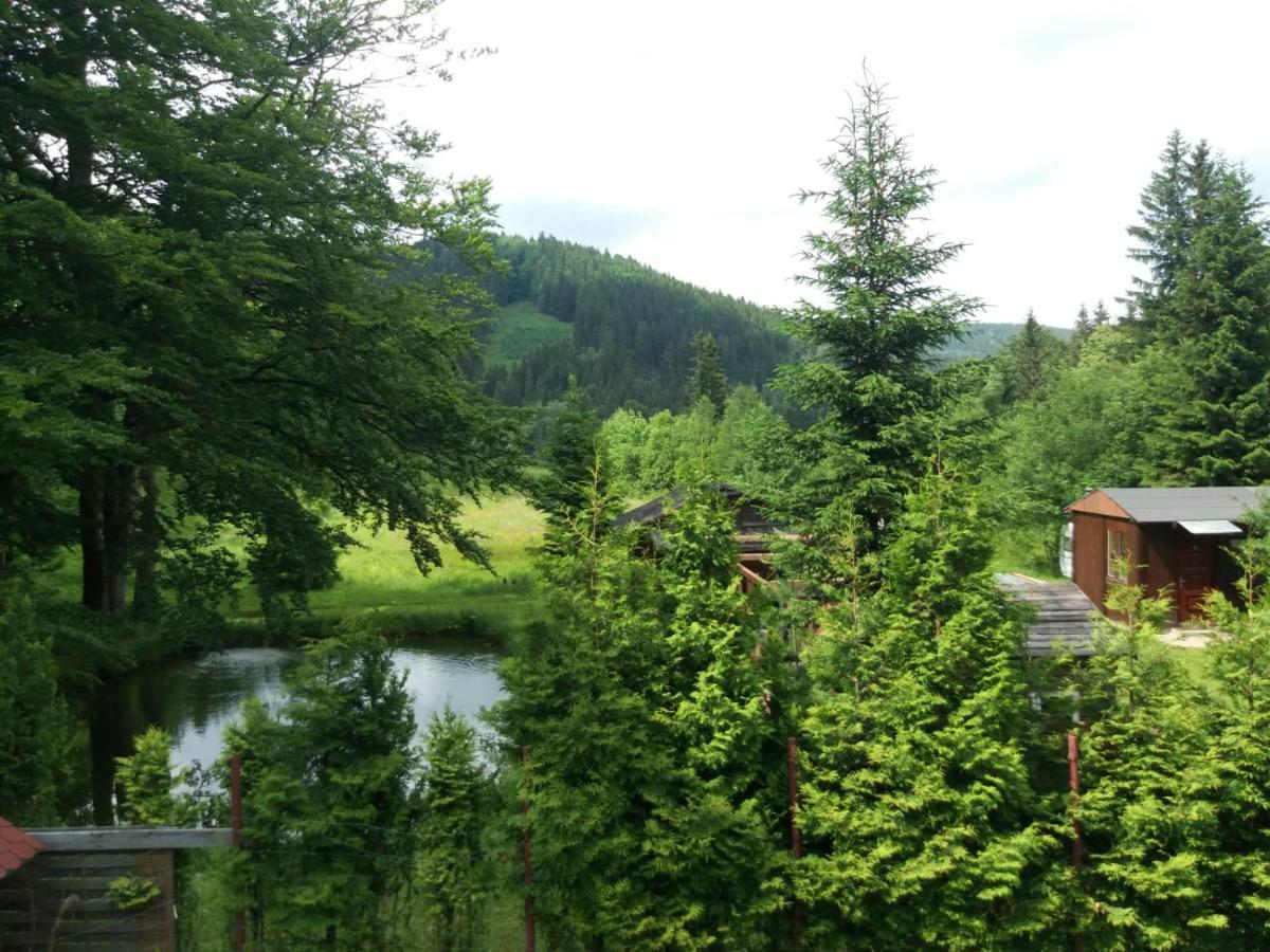 Zbójnicki Ostęp-Nocleg Trapera Kletno Exterior foto